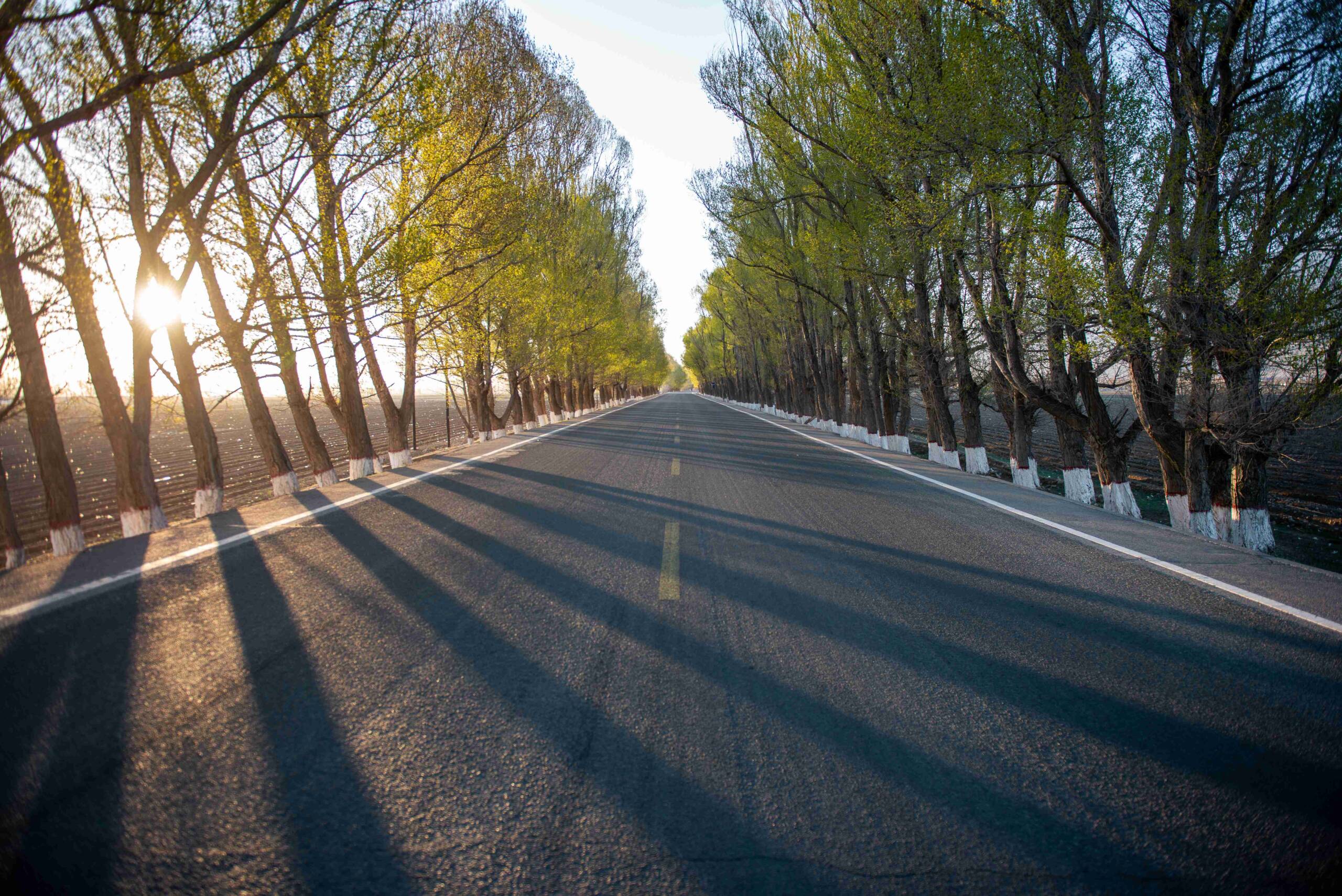 A beautifully paved tarmac driveway in Hertfordshire, showcasing the aesthetic appeal of modern tarmac surfacing