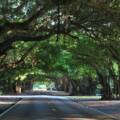 Eco-Friendly Road Surfacing: How Sustainable Materials Are Transforming the Industry