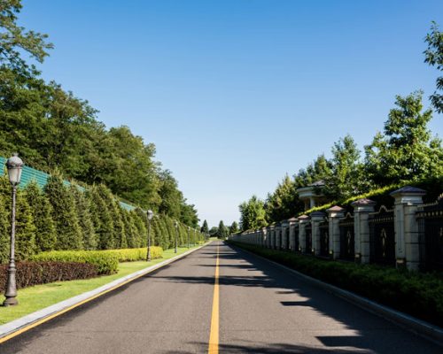 shadows-on-road-near-green-trees-with-leaves-in-su-2024-11-11-12-22-50-utc shadows-on-road-near-green-trees-with-leaves-in-su-2024-11-11-12-22-50-utc